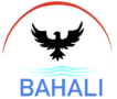 Bahali Travel Tour